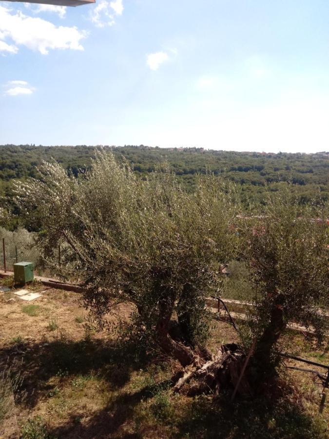 V Klancu Apartman Dekani Kültér fotó